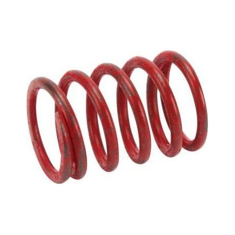 691597 - Ressort de soupape d'échappement pour moteur BRIGGS et STRATTON