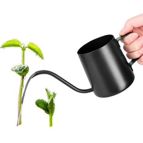 Annaffiatoio nero (350 ml) con beccuccio lungo, in acciaio inox, di piccole dimensioni, ideale per piante grasse e come attrezzo da giardino. (1/5)
