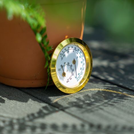 Vitavia Hygrometer für Gewächshäuser, gold (1/2)