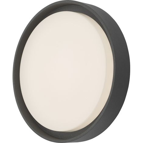 DAR RALPH - Applique murale d'extérieur Simple Large Anthracite IP65 LED (1/4)