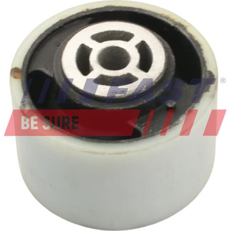 Soporte de motor rápido FT52525 (1/3)