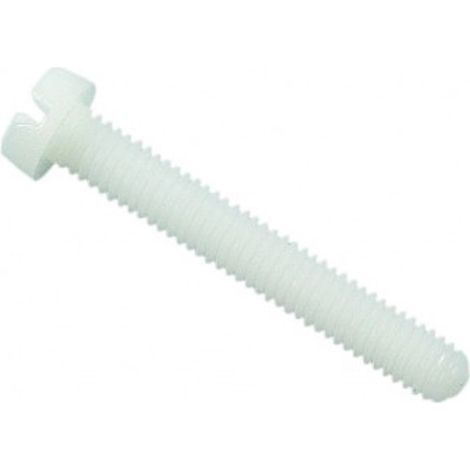 Vis à métaux tête cylindrique fendue PA 6,6 naturel - 5 x 10 mm - BIVI (1/2)
