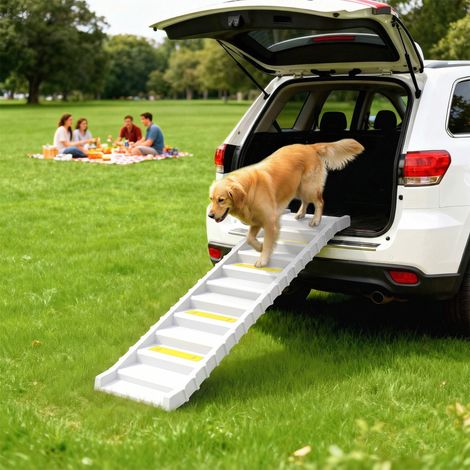 Rampe Pieghevole 10 Marches pour Chien en Voiture, avec Bandes et Pieds Antidérapants, Blanche (1/5)