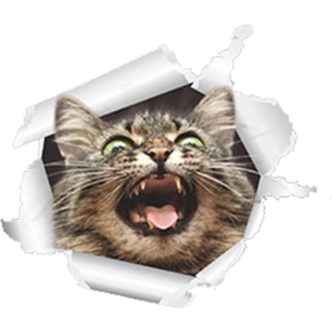 3D-Katzen-Toilettenaufkleber, Badezimmerdekoration, einfach anzubringen, wiederverwendbarer PVC-Wandaufkleber für Zuhause