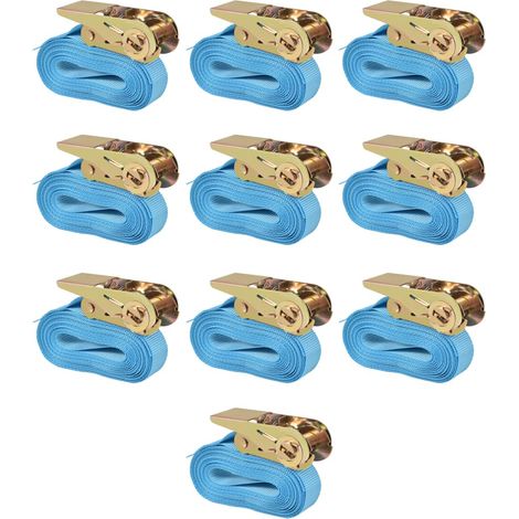 Ratchet Tie Down Straps 10 pcs 0.8 Tonnes 4mx25mm Blue vidaXL