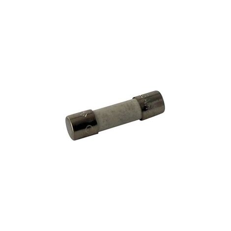 Fusible 6,3 A CASTELGARDEN 133340033/0 1333400330
