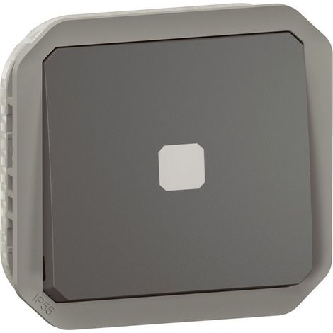 Legrand 069804L Interruptor temporizado luminoso Plexo combinable antracita