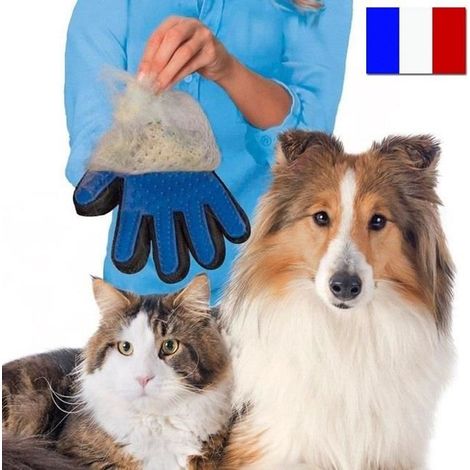 1 Gant de toilettage, élimine poils morts, massage animaux, ajustable, pour chien chat lapin furet