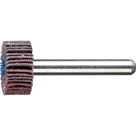 PFERD TOOLS 47801067 Fächerschleifer Durchmesser 20 mm 10 St.
