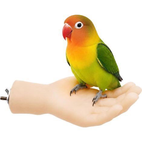 Perchoirs Cage Oiseaux, Support Perroquet Main, Réaliste Drôle (1/5)