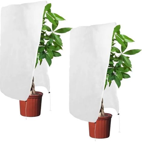 Voile Hivernage Plante Exterieur - Lot de 2 - Blanc - 120 x 80 cm - Protection contre le gel (1/4)