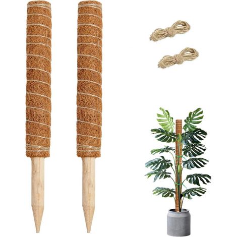Tuteur en mousse pour plantes grimpantes - Support extensible jusqu'à 80 cm - Idéal pour Monstera - 80 cm - 2 pièces