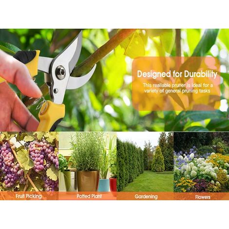 Sécateurs de jardin, sécateurs à lames croisées, outils de taille de jardin avec lames et ressorts en acier inoxydable pour haies et tiges de jardin (1/5)