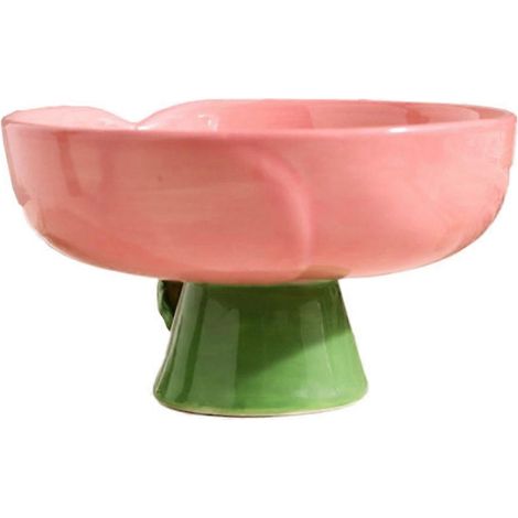 Gamelle surélevée en céramique pour chats et petits chiens - Style 3 (1/5)