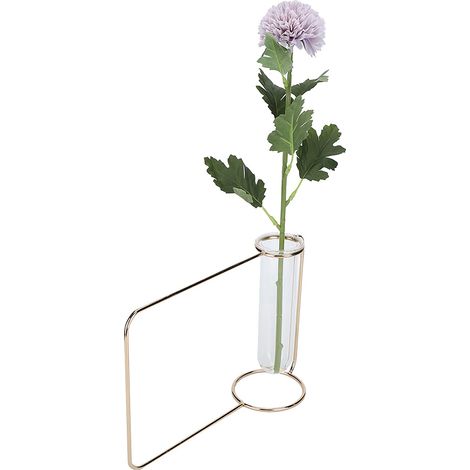 GARRYFIZH Jardinière suspendue innovante, tube à essai, vases transparents pour plantes hydroponiques, pour la maison et l'intérieur, doré