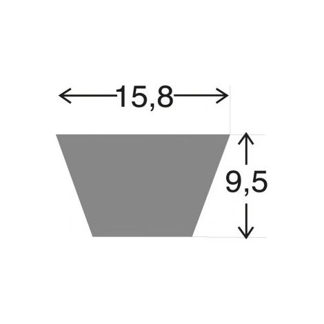 L572 - Courroie 5L720