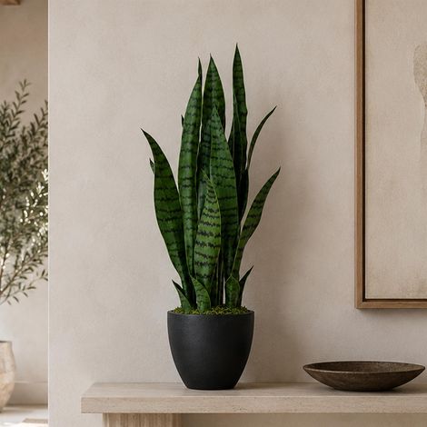 70cm Artificial Sansevieria Dark Green Premium