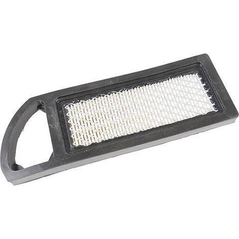 Filtre a air moteur autoportée Briggs & Stratton - 794422 (1/3)