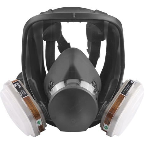 Full face mask reusable, protective spray paint, machine polished, welded (box filter included) (1/4)