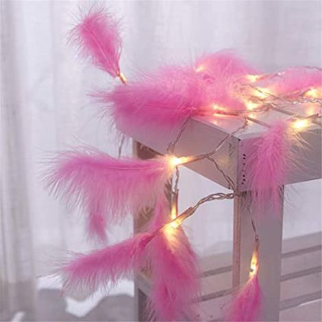 Guirlande Lumineuse Plumes Artificielles - 20 LED - Longueur 2,2 M - Blanc Chaud - Décoration Intérieure Extérieure - 1 Pièce (1/5)