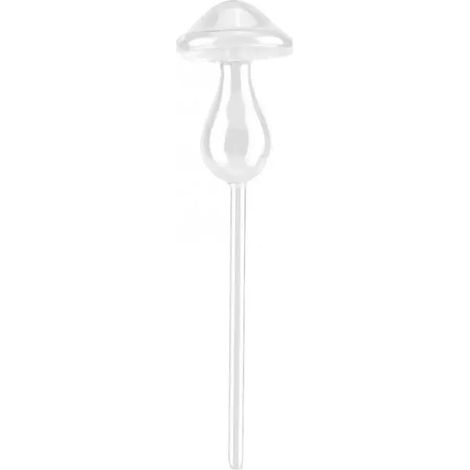 (Transparent-L) Globes en verre en forme de champignon pour l'arrosage automatique des plantes - Arrosage automatique - Arc-en-ciel (1/5)