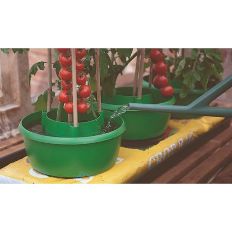 Garland Green Plant Halos - 3 Pack (1/2)