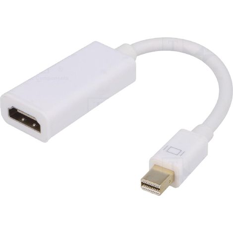 Adaptateur HDMI femelle vers mini DisplayPort male 0.15m