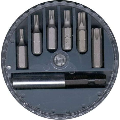 Set inserti Torx con supporto magnetico (1/2)