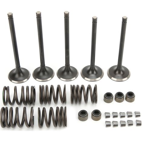 Kit de Soupape D'échappement D'admission de Cylindre en Acier, Remplacement du Kit de Soupape D'échappement D'admission de Culasse pour Grizzly 660 YFM660F 4WD 2002‑2008 (1/5)