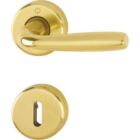 Hoppe Maniglia Roissy su rosetta rotonda, Ottone lucido, 3066785