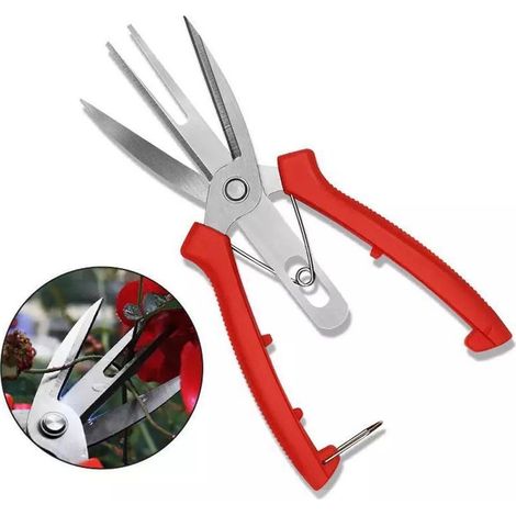 Ciseaux forgés en acier inoxydable pour pommier et poire, outils agricoles à Double bouche, taille-fruits pour éclaircir les fleurs (1/4)