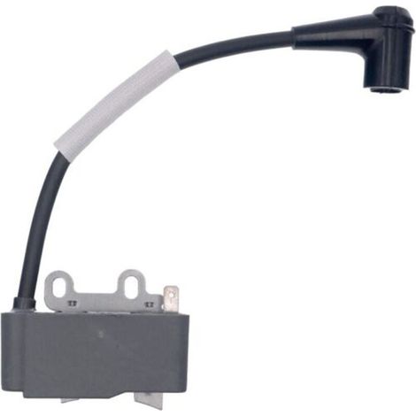 Bobine d'allumage haute tension compatible avec A411000291 A411000290 C10146 PB-265L ES-255PB-251 255 – Compatible pour tondeuses et débroussailleuses (1/4)