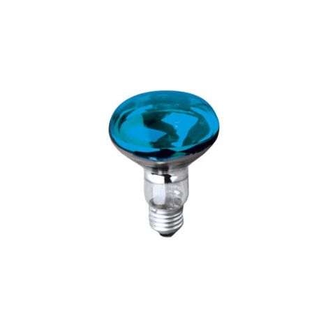 Ampoule à incandescence bleue 6576 – R80 230V 60W E27 – Culot E27 pour éclairage intérieur – Réflecteur 80mm – Orbitec