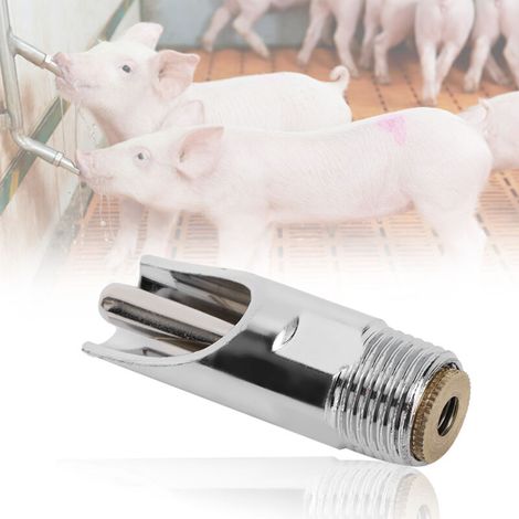 Abbeveratoio automatico piatto a 5 pezzi per suini, attrezzatura per bestiame rimovibile (1/4)