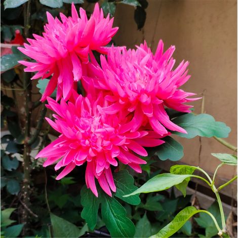 Fleurs Artificielles - Lampe De Jardin À Led - Décoration Extérieure Et Intérieure - Faux Fleurs Avec Tige En Fer Recouverte De Plastique - 1 Pièce (1/3)