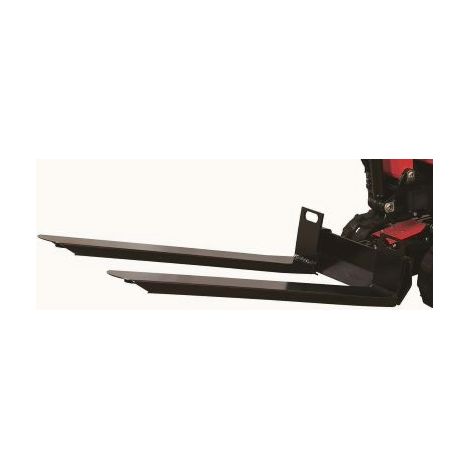 Forche per pallet EAG100T