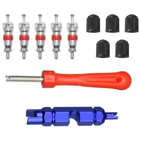 Outil de Démontage Valve,12 Pièces Valve Pneu Voiture, Extracteur Valves,Outil Valves pour Vélo, Outils Réparation Moto et Camion -
