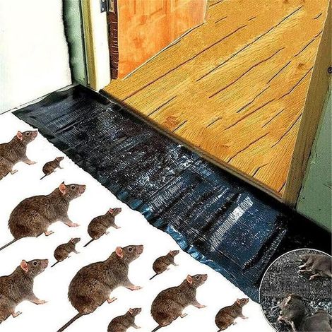 Piège à colle pour souris et rongeurs, efficace et discret, idéal pour la maison et le bureau (1/4)