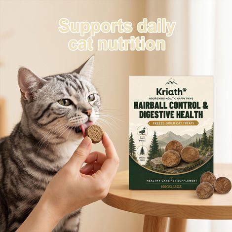 Cat Nutritional Chewable Tablets, Pet Food Companion, Interactive Teething Supplement for Cats -- 100g (1/5)