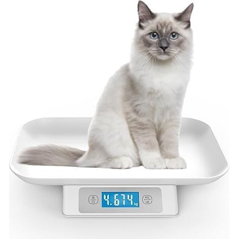Digitale Haustierwaage für Kleintiere,Genauigkeit1g,Messbereich15kg/33Ib, Einheit g/lb/oz/tl/ml, geeignet für Kätzchen,Welpen(GRAU) (1/5)