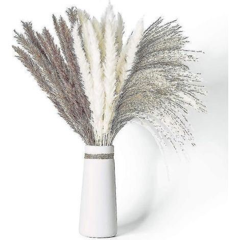 70 Stränge natürliches, getrocknetes Pampasgras, 3 verschiedene Farben, flauschig und kaskadenartig, ideal für Kreationen im Bohème-Stil, florale Hochzeitsarrangements und Innendekoration. (1/5)