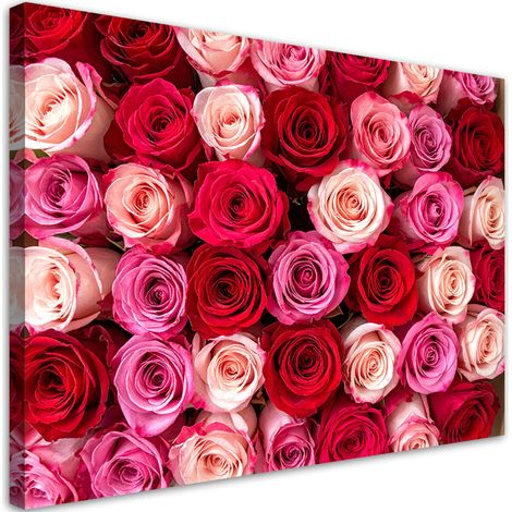 Tableau Moderne, Roses fleurs plantes nature,60x40 (1/4)