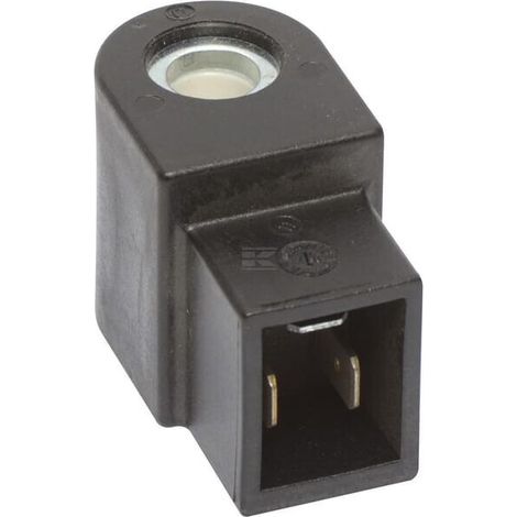 Bobine d'électroie MASTER 13104031019