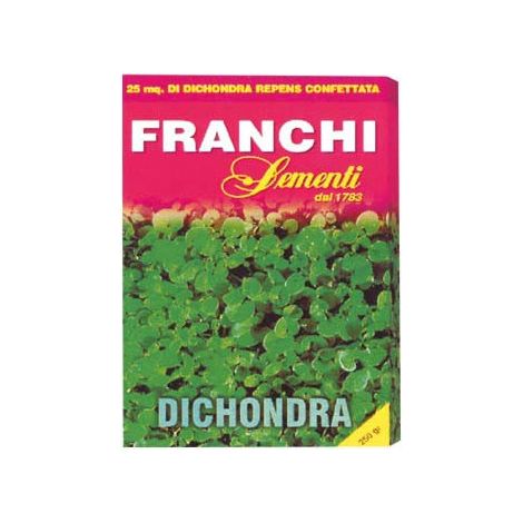 Semi Prato Dichondra Franchi