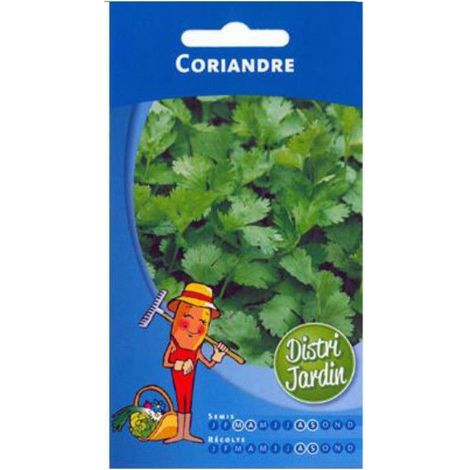 Graines de Coriandre