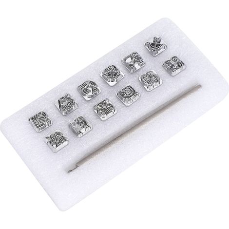 12 Poinçons d'Estampage 12 Constellations DIY Artisanat Cuir, 1 Manche Inclus (1/5)