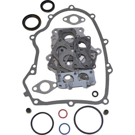 Motordichtungssatz von Briggs und Stratton 694012