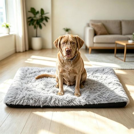 Hundekissen Katzenbett Plüsch XL Grau, Waschbar & Rutschfest