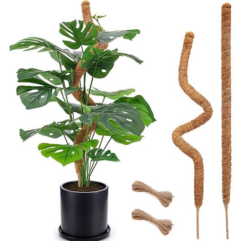 Filiyano-Tuteurs en mousse 122 cm/63 cm (25 pouces/48 pouces), 2 pièces, tuteurs en mousse flexibles pour plantes grimpantes d'intérieur et (1/5)