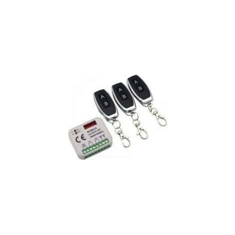 Récepteur à distance de porte de Garage 433 868MHz RX MULTI 300-900MHZ AC/DC 9-30V récepteur avec télécommande - Crezuo (1/4)
